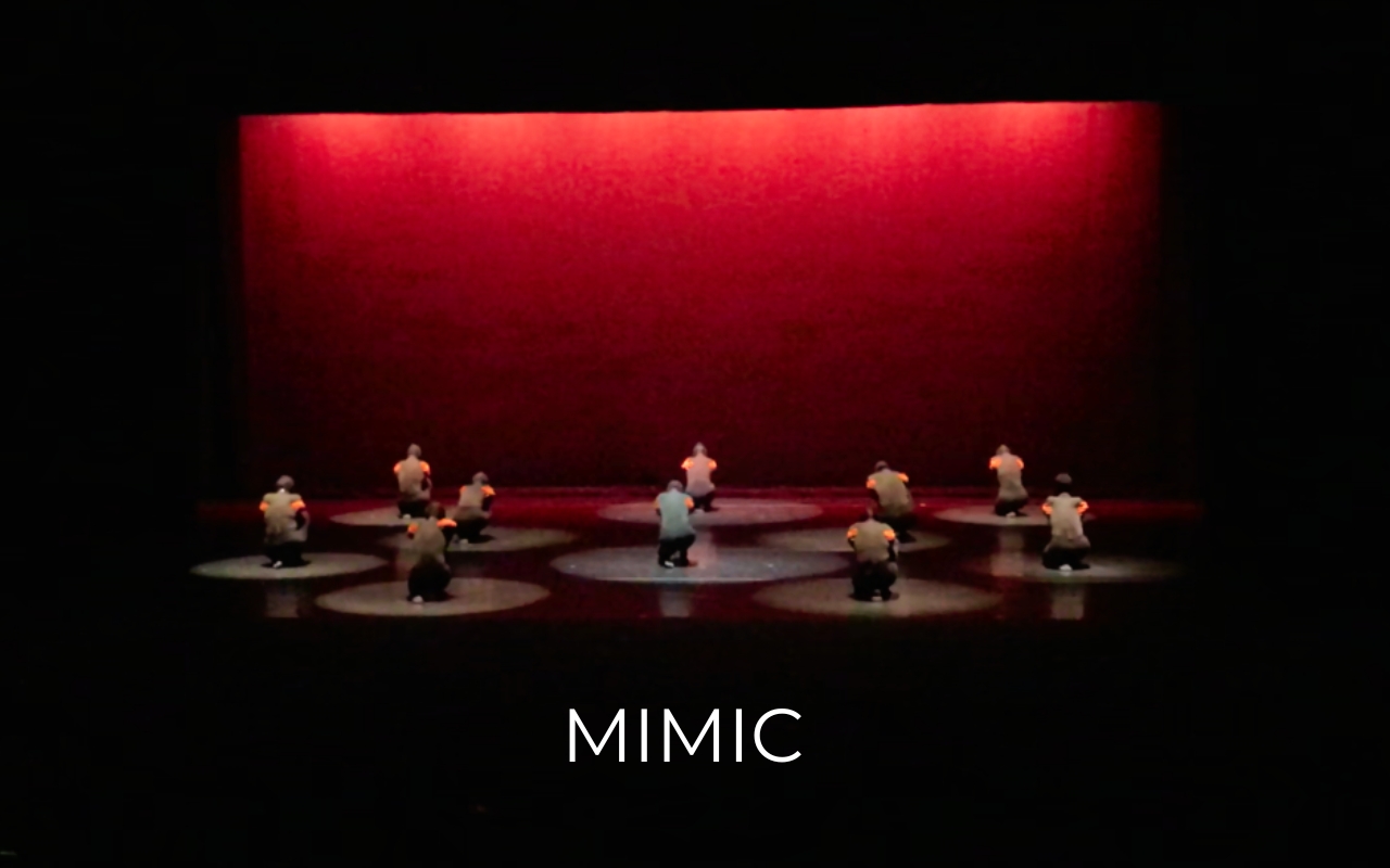 MIMIC
